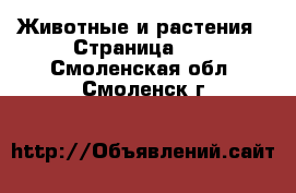  Животные и растения - Страница 11 . Смоленская обл.,Смоленск г.